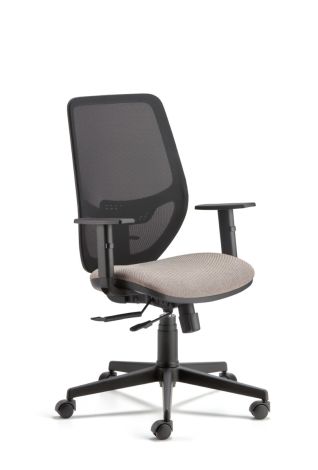 DP34