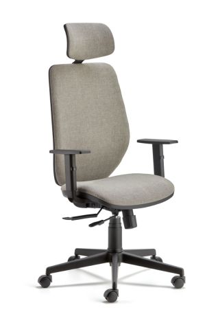 DP43